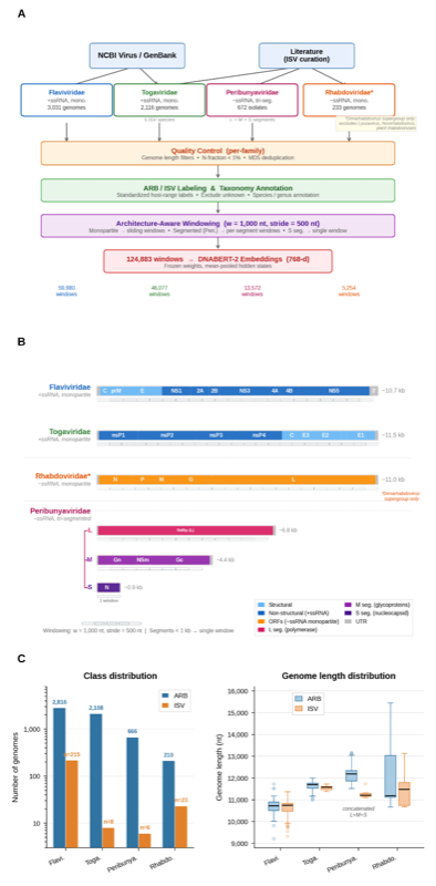 Cross-family dataset construction and genome architecture