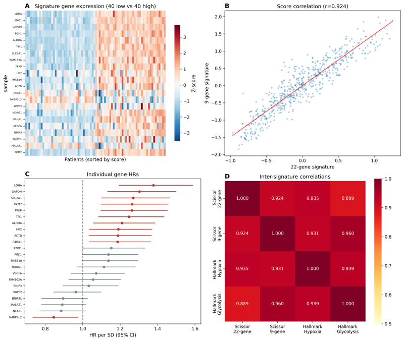 Gene expression heatmap and signature correlations in LUAD