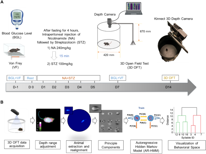 MoSeq experimental design and AR-HMM behavioral analysis pipeline