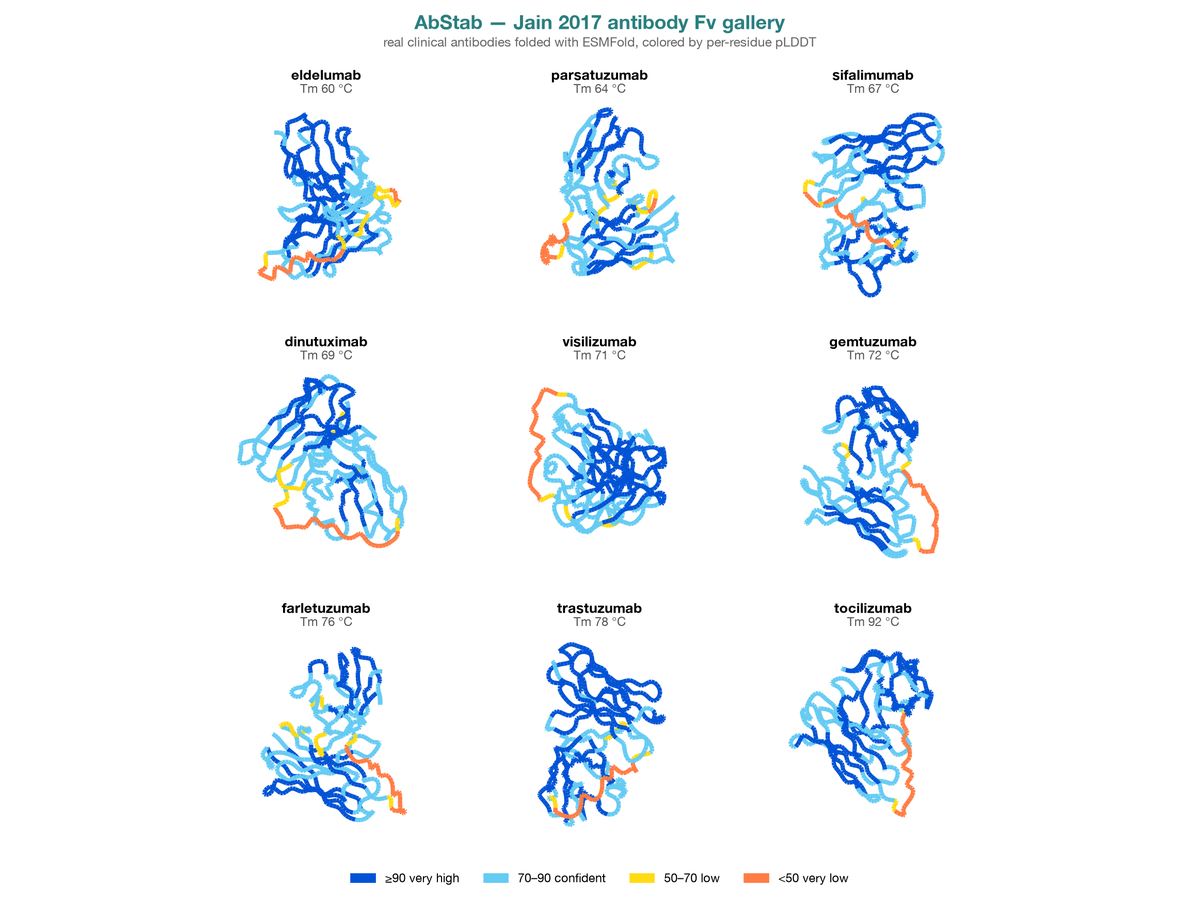 Gallery of nine clinical antibody Fv structures from the Jain 2017 set, folded with ESMFold and colored by per-residue pLDDT, arranged by measured melting temperature