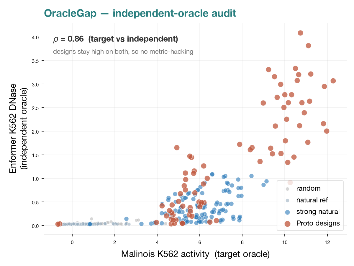 Malinois versus Enformer K562 scores for Proto designs, natural, and random sequences; the two oracles agree (Spearman 0.86) and designs sit high on both, showing no oracle-hacking
