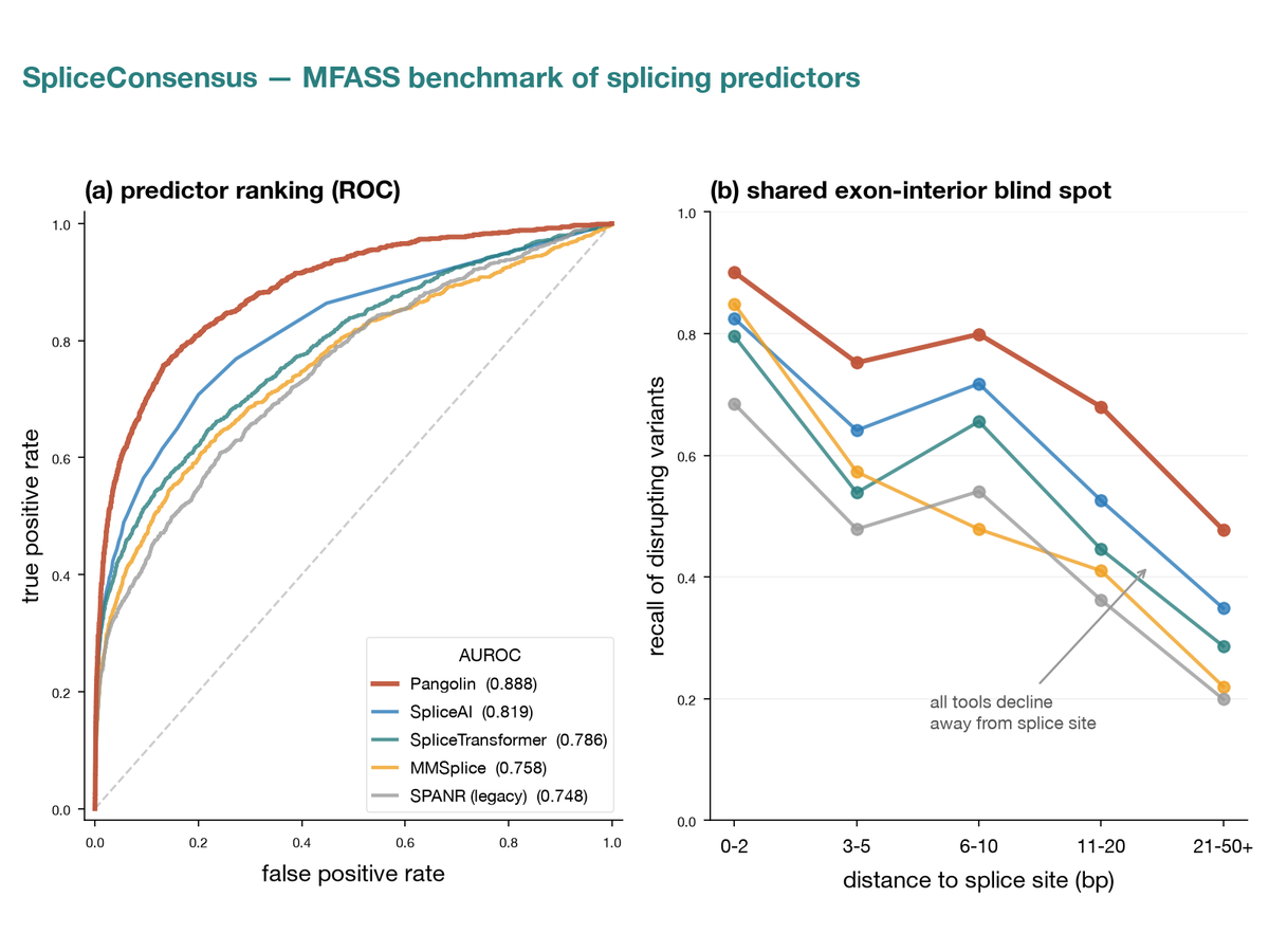 MFASS benchmark of five splicing predictors: ROC curves rank Pangolin highest (AUROC 0.888), and a recall-versus-distance panel shows every tool loses disrupting variants away from the splice site