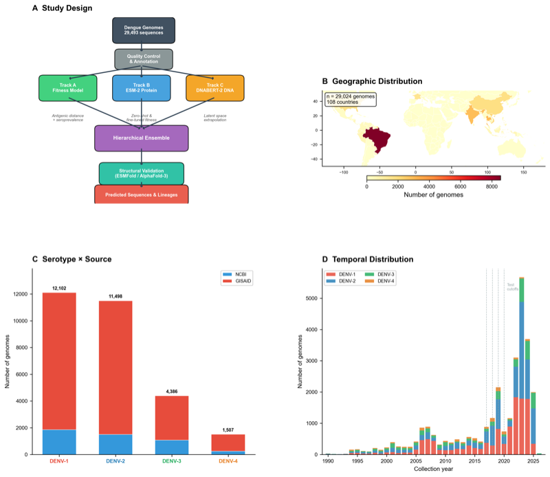 ViraPredict study design and dengue genome distribution