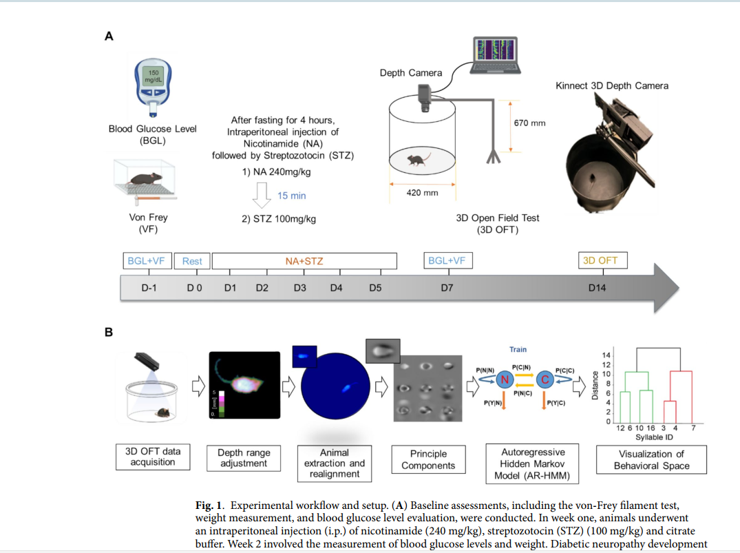 MoSeq workflow